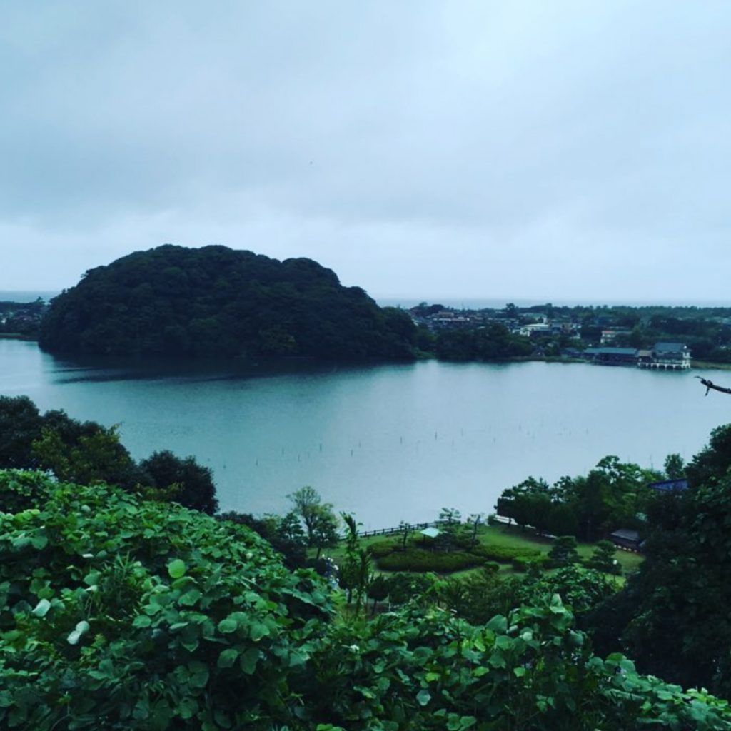 吉崎 鹿島の森